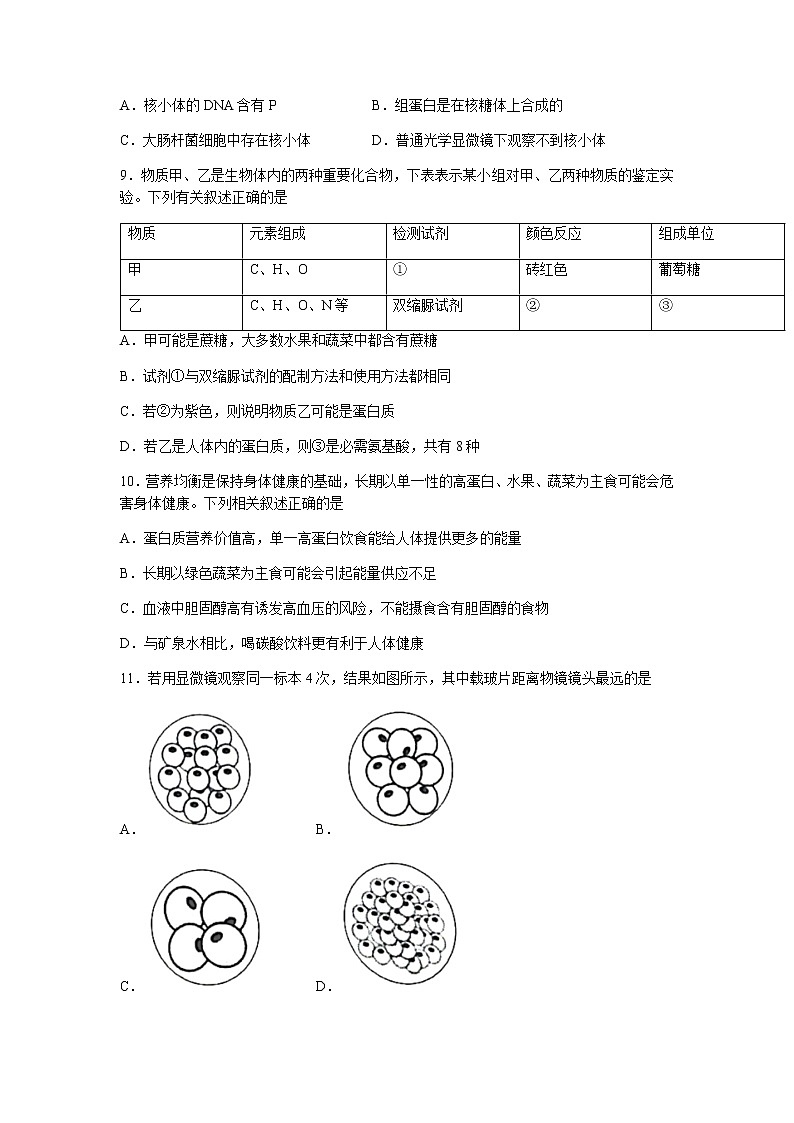 河南省2021-2022学年高一上学期期中考试生物试题含答案第3页