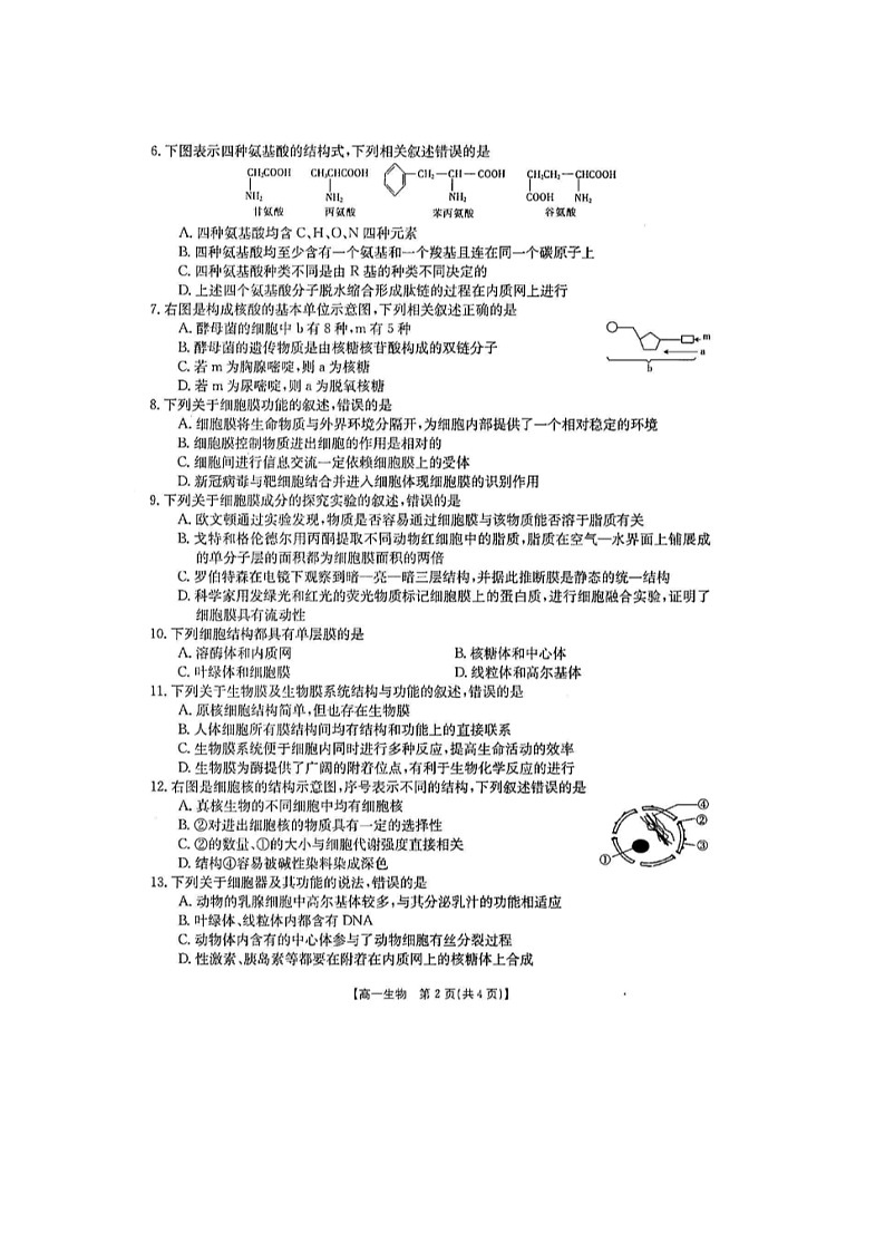 河北省石家庄市六校2021-2022学年高一上学期期中联考生物试题扫描版含答案02