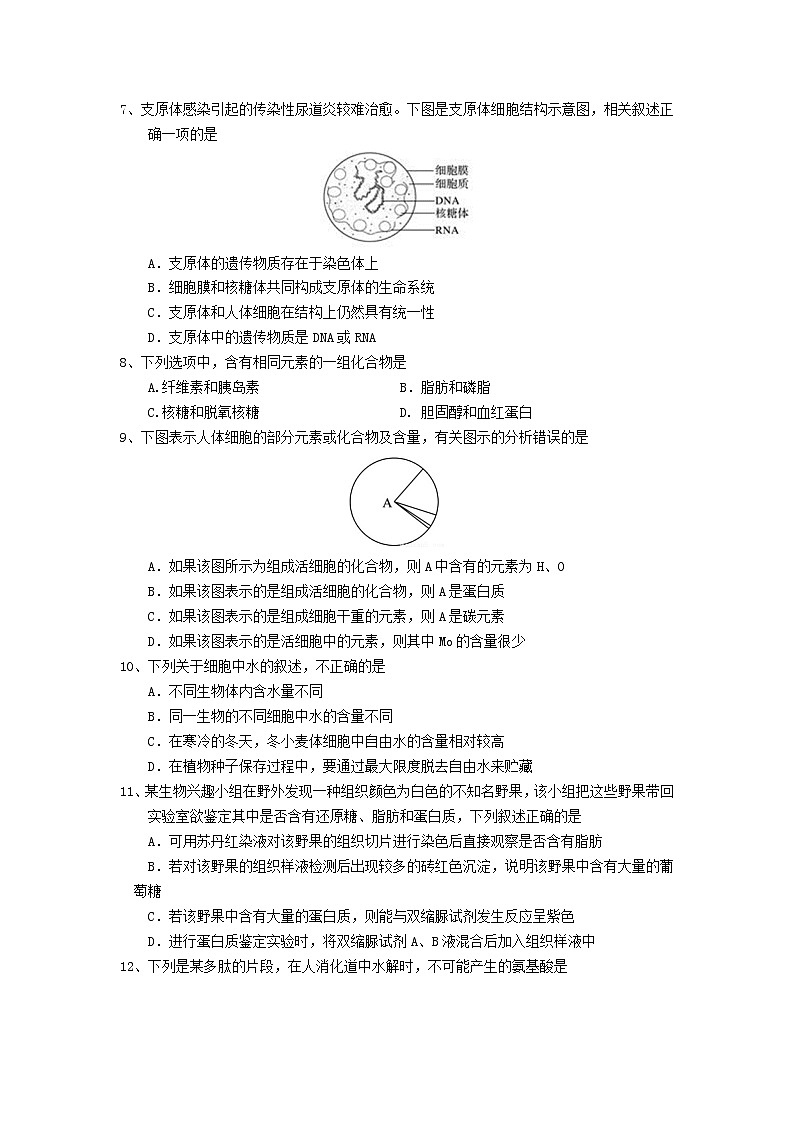 云南省玉溪市一中2021-2022学年高一上学期期中考试生物试题含答案02