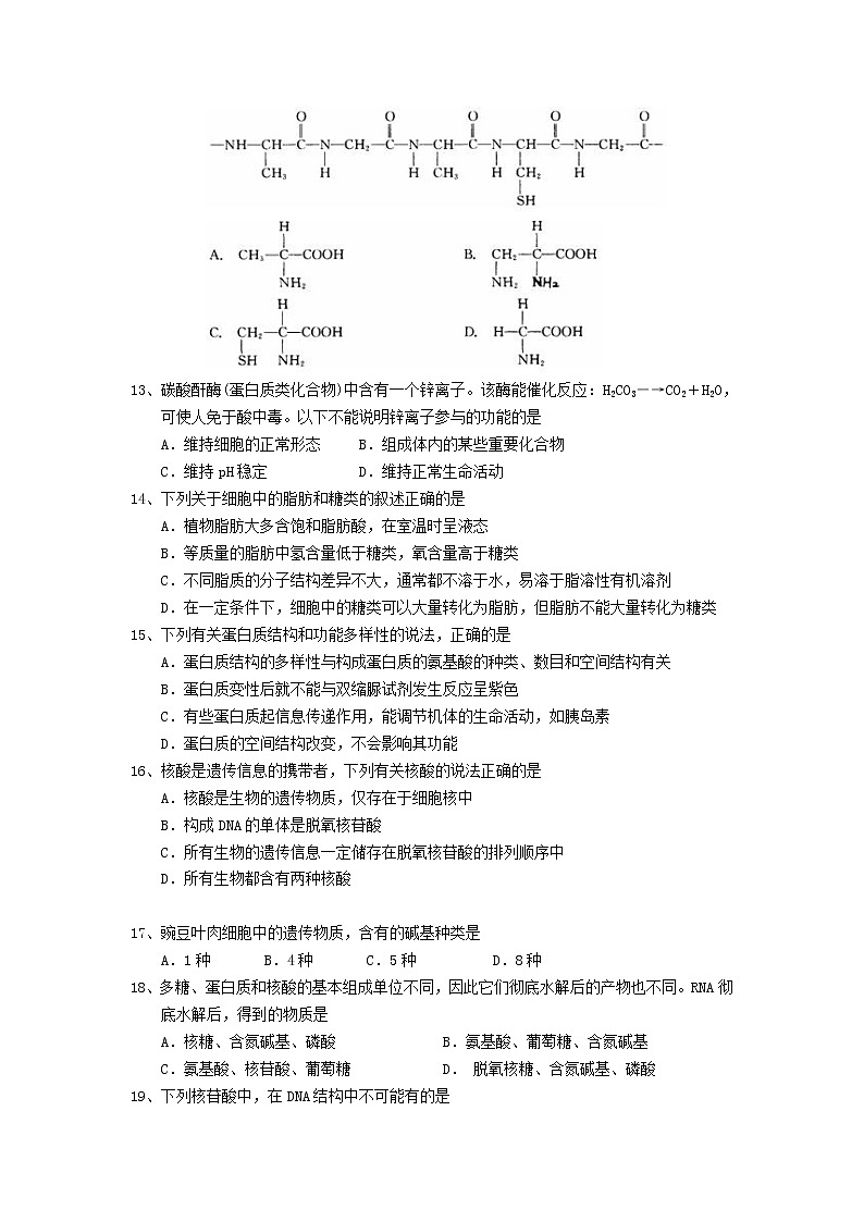 云南省玉溪市一中2021-2022学年高一上学期期中考试生物试题含答案03