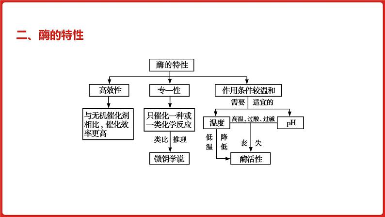 全国通用高中生物  一轮复习  第二单元  专题四  酶和ATP课件PPT第8页