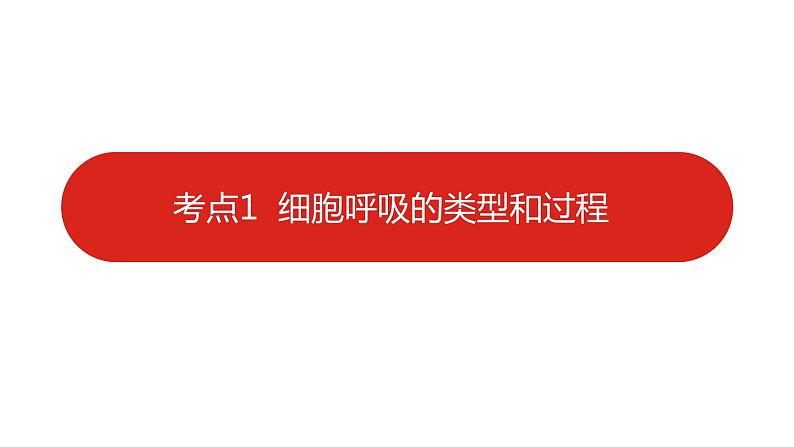 全国通用高中生物  一轮复习  第二单元  专题五  细胞呼吸课件PPT第6页