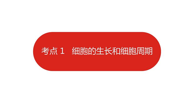 全国通用高中生物  一轮复习  第三单元  专题七  细胞的增殖课件PPT第6页