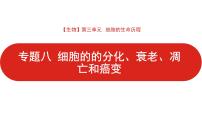 全国通用高中生物  一轮复习  第三单元  专题八  细胞的分化、衰老、凋亡和癌变课件PPT