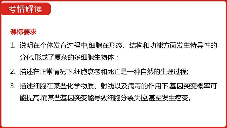 全国通用高中生物  一轮复习  第三单元  专题八  细胞的分化、衰老、凋亡和癌变课件PPT第3页