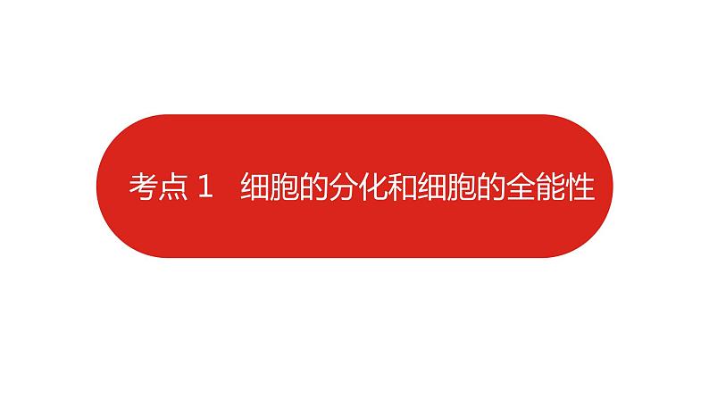 全国通用高中生物  一轮复习  第三单元  专题八  细胞的分化、衰老、凋亡和癌变课件PPT第5页