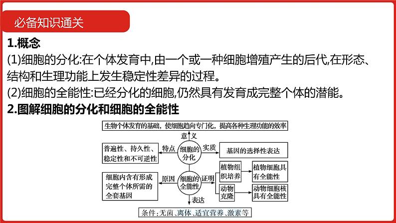 全国通用高中生物  一轮复习  第三单元  专题八  细胞的分化、衰老、凋亡和癌变课件PPT第6页