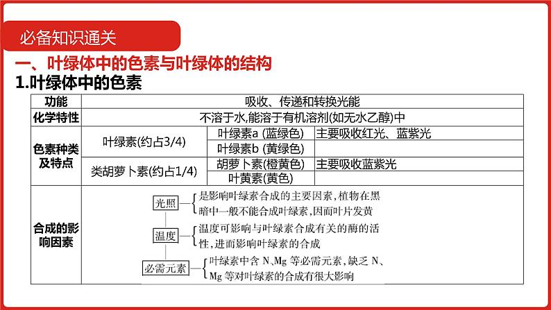 全国通用高中生物  一轮复习  第二单元  专题六  光合作用课件PPT07