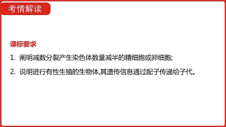 全国通用高中生物  一轮复习  第四单元  专题九  遗传的细胞基础课件PPT第3页