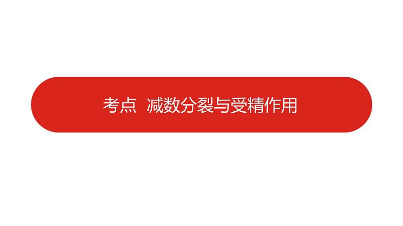 全国通用高中生物  一轮复习  第四单元  专题九  遗传的细胞基础课件PPT第5页