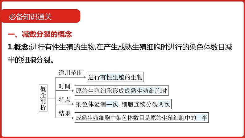 全国通用高中生物  一轮复习  第四单元  专题九  遗传的细胞基础课件PPT第6页