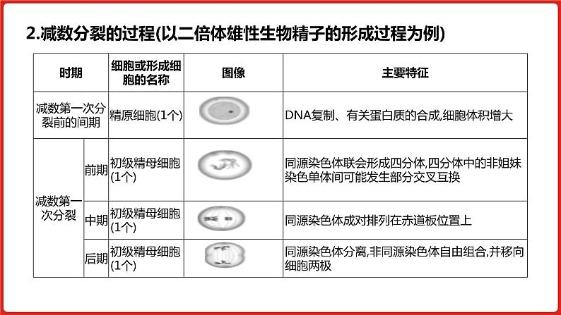 全国通用高中生物  一轮复习  第四单元  专题九  遗传的细胞基础课件PPT第8页