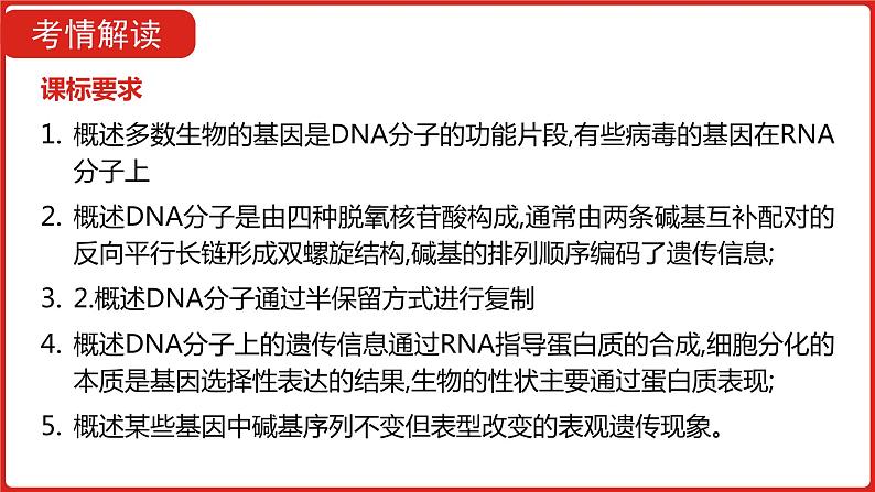 全国通用高中生物  一轮复习  第四单元  专题十  遗传的分子基础课件PPT第4页