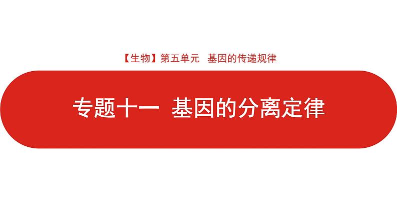 全国通用高中生物  一轮复习  第五单元  专题十一  基因的分离定律课件PPT第1页