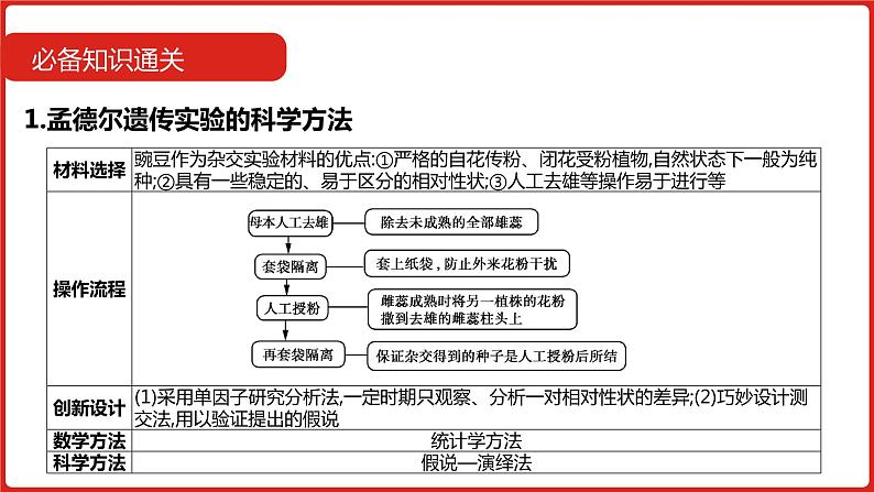 全国通用高中生物  一轮复习  第五单元  专题十一  基因的分离定律课件PPT第6页