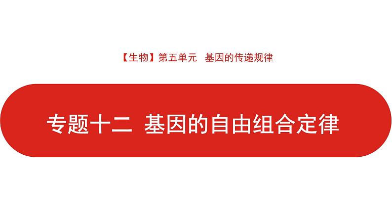 全国通用高中生物  一轮复习  第五单元  专题十二  基因的自由组合定律课件PPT第1页