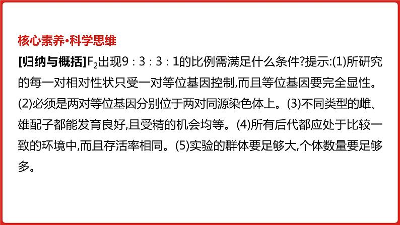 全国通用高中生物  一轮复习  第五单元  专题十二  基因的自由组合定律课件PPT第8页