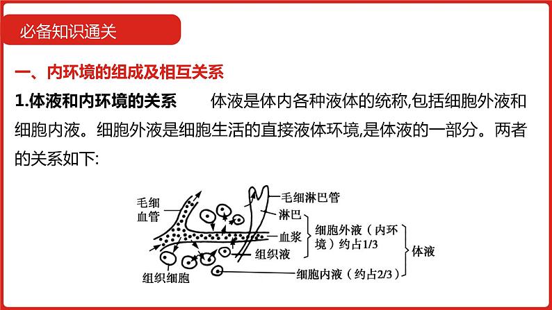 全国通用高中生物  一轮复习  第七单元  专题十六  人体内环境的稳态与调节课件PPT第8页