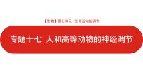 全国通用高中生物  一轮复习  第七单元  专题十七  人和高等动物的神经调节课件PPT