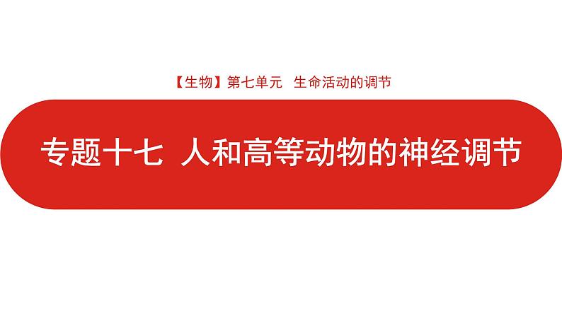 全国通用高中生物  一轮复习  第七单元  专题十七  人和高等动物的神经调节课件PPT第1页