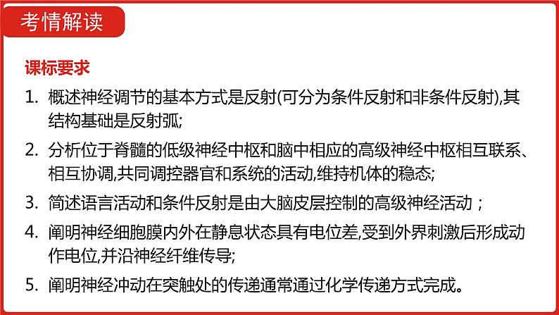 全国通用高中生物  一轮复习  第七单元  专题十七  人和高等动物的神经调节课件PPT第3页