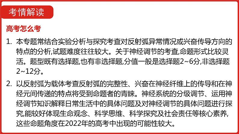 全国通用高中生物  一轮复习  第七单元  专题十七  人和高等动物的神经调节课件PPT第4页