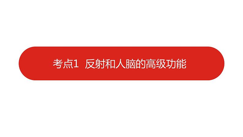 全国通用高中生物  一轮复习  第七单元  专题十七  人和高等动物的神经调节课件PPT第5页