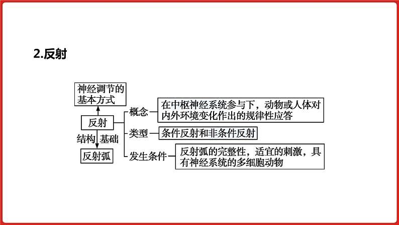 全国通用高中生物  一轮复习  第七单元  专题十七  人和高等动物的神经调节课件PPT第7页