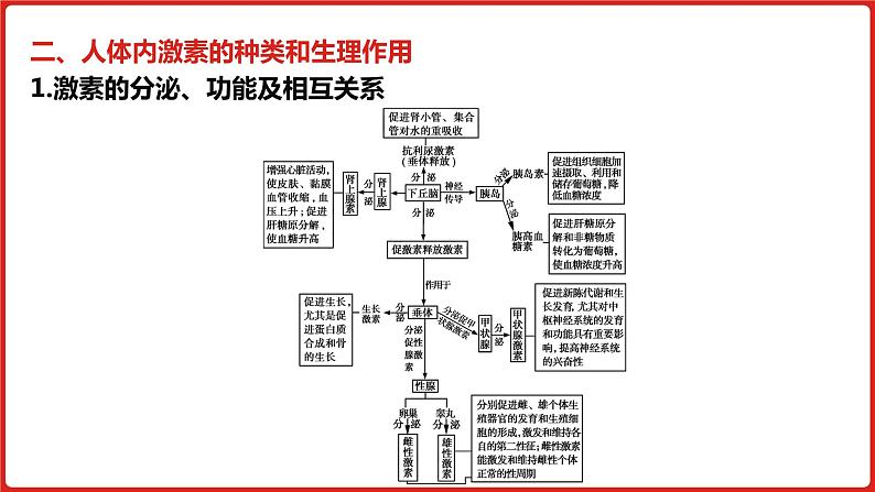 全国通用高中生物  一轮复习  第七单元  专题十八  体液调节及其与神经调节的关系课件PPT第8页