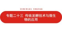 全国通用高中生物  一轮复习  第九单元  专题二十三  传统发酵技术与微生物的应用课件PPT