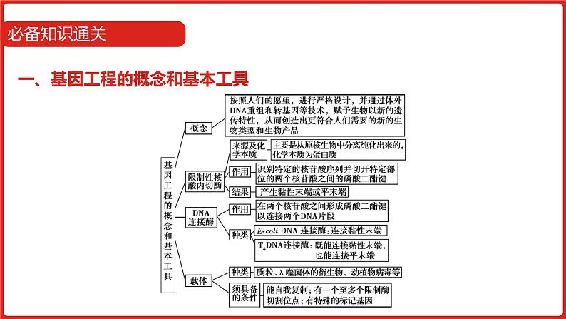 全国通用高中生物  一轮复习  第十单元  专题二十五  基因工程课件PPT07