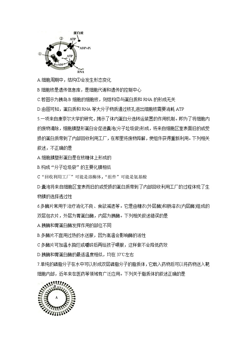 江西省七校2022届高三上学期第一次联考生物含答案 试卷02