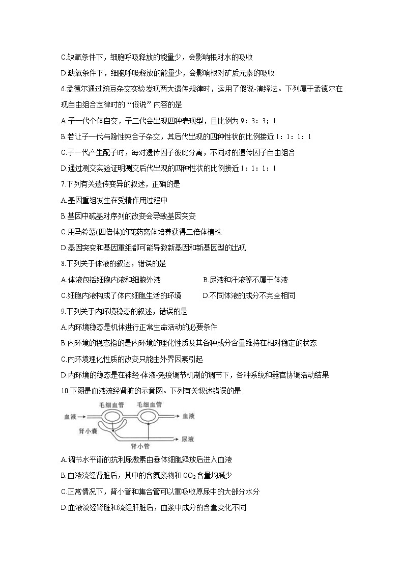 重庆市2021-2022学年高二上学期期中联考生物含答案 试卷02