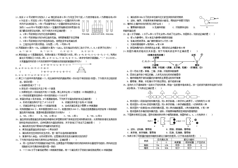 陕西省西安市第一中学2021-2022学年高一上学期期中考试生物试题含解析02