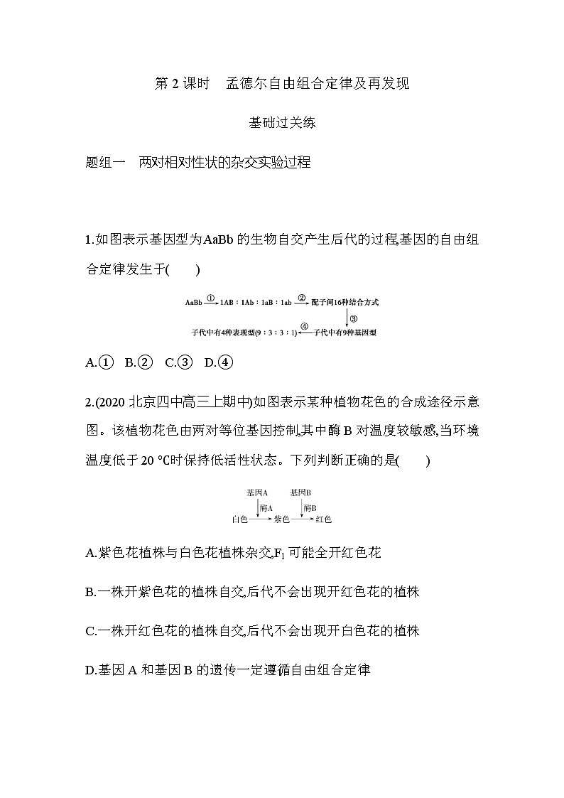 第2节第2课时孟德尔自由组合定律及再发现练习题第1页