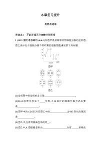 2020-2021学年第二章 基因和染色体的关系综合与测试课后复习题