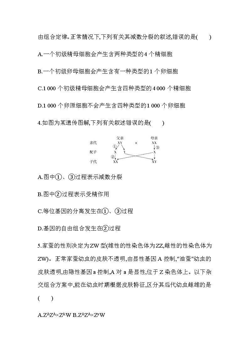 第2章　基因和染色体的关系达标检测02