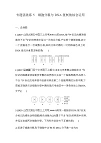 高中生物人教版 (新课标)必修2《遗传与进化》第三章 基因的本质综合与测试一课一练