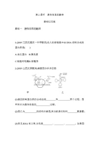 人教版 (新课标)必修2《遗传与进化》第四章 基因的表达第1节 基因指导蛋白质的合成第2课时练习题