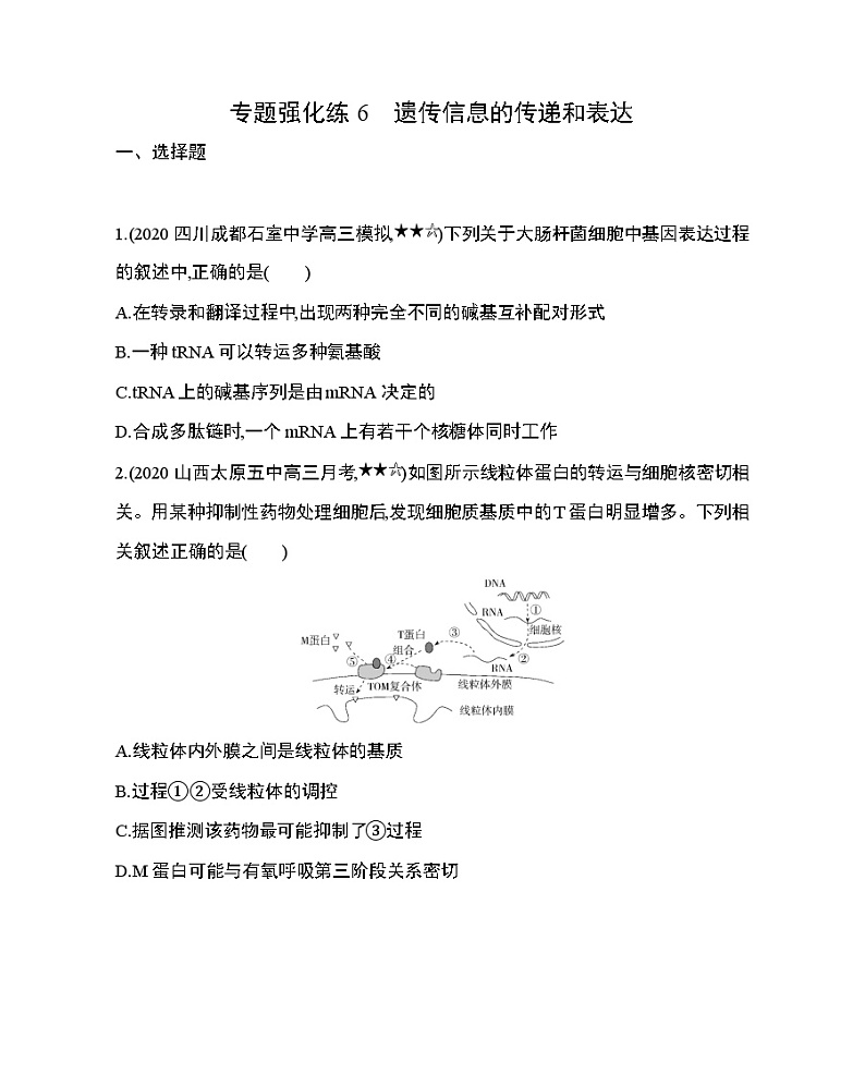专题强化练6　遗传信息的传递和表达第1页