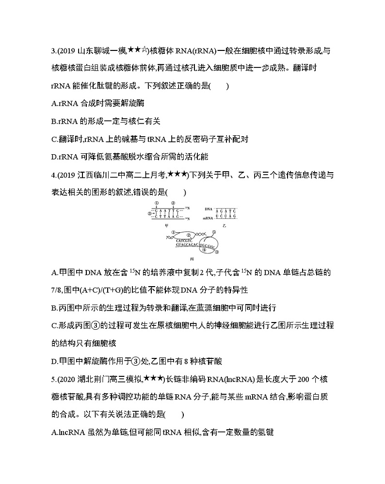 专题强化练6　遗传信息的传递和表达第2页