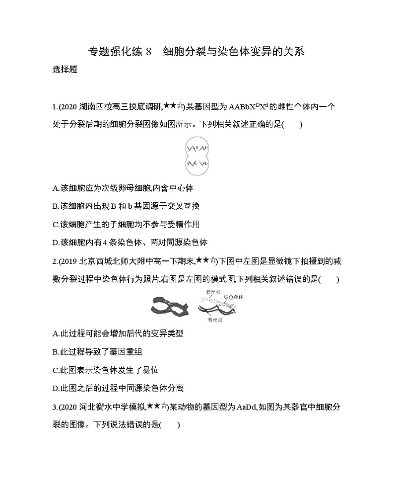专题强化练8　细胞分裂与染色体变异的关系第1页