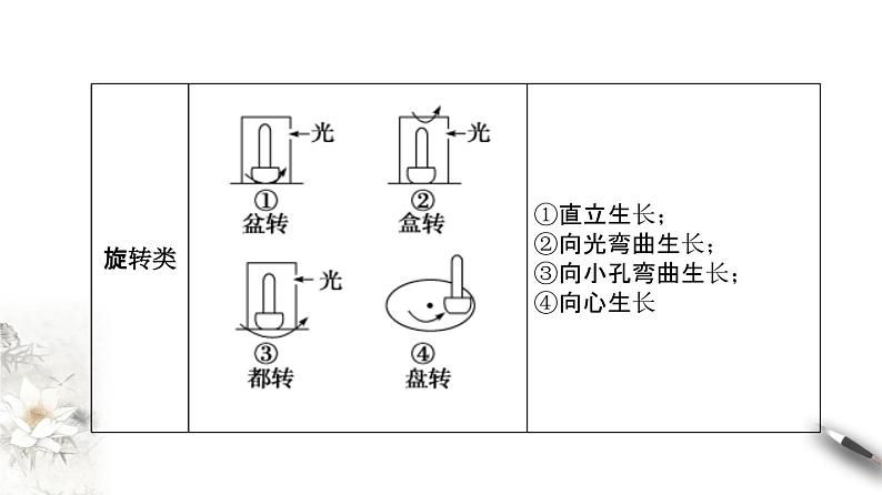 5.1.2 植物生长激素（课件）-2020-2021学年上学期高二生物学同步精品课堂（新教材人教版选择性必修1）（共23张PPT）第6页