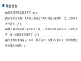 3.3 体液调节和神经调节的关系 课件 【新教材】人教版（2019）高中生物选择性必修一