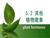 5.2 其它植物激素 課件 【新教材】人教版（2019）高中生物選擇性必修一