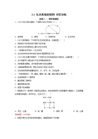 高中生物人教版 (2019)选择性必修2第3章 生态系统及其稳定性第1节 生态系统的结构优秀练习