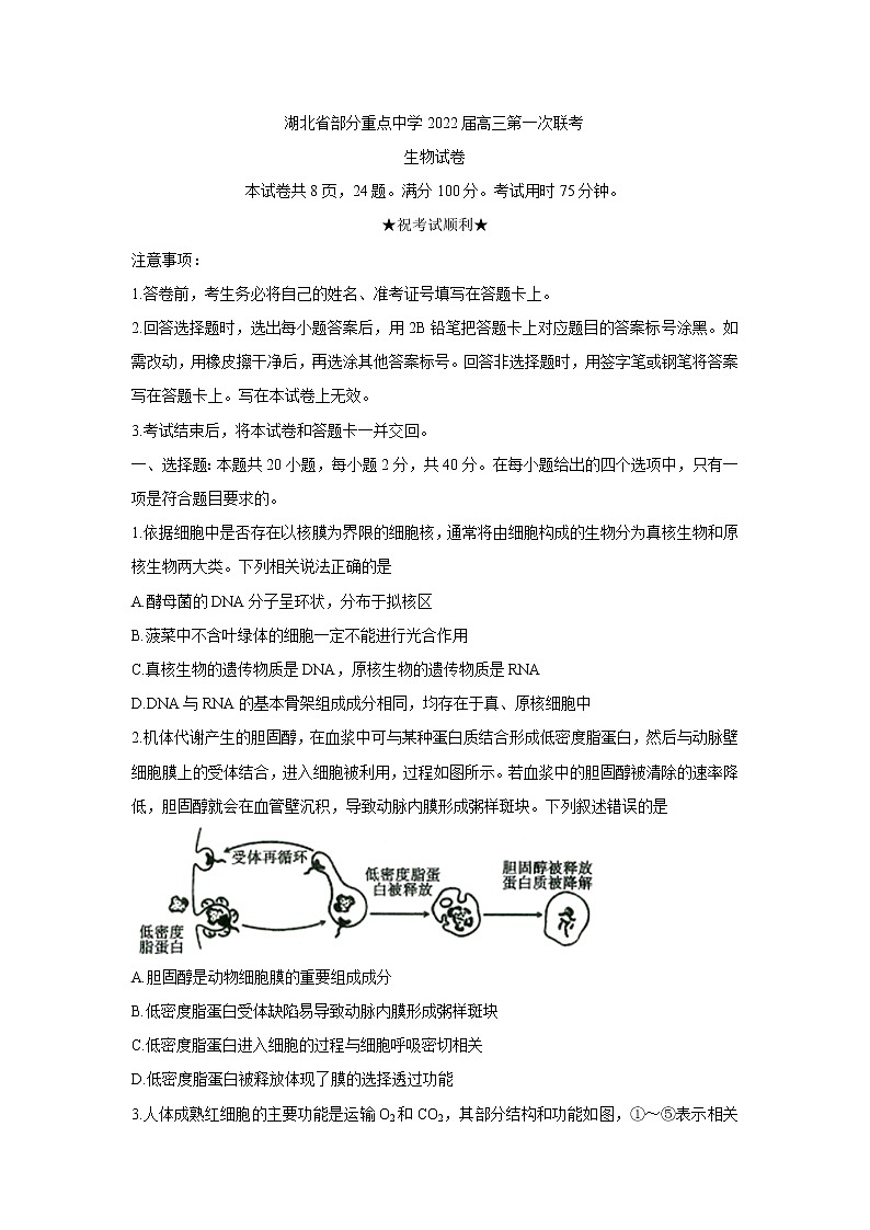 湖北省部分重点中学2022届高三上学期第一次联考生物含答案 试卷01