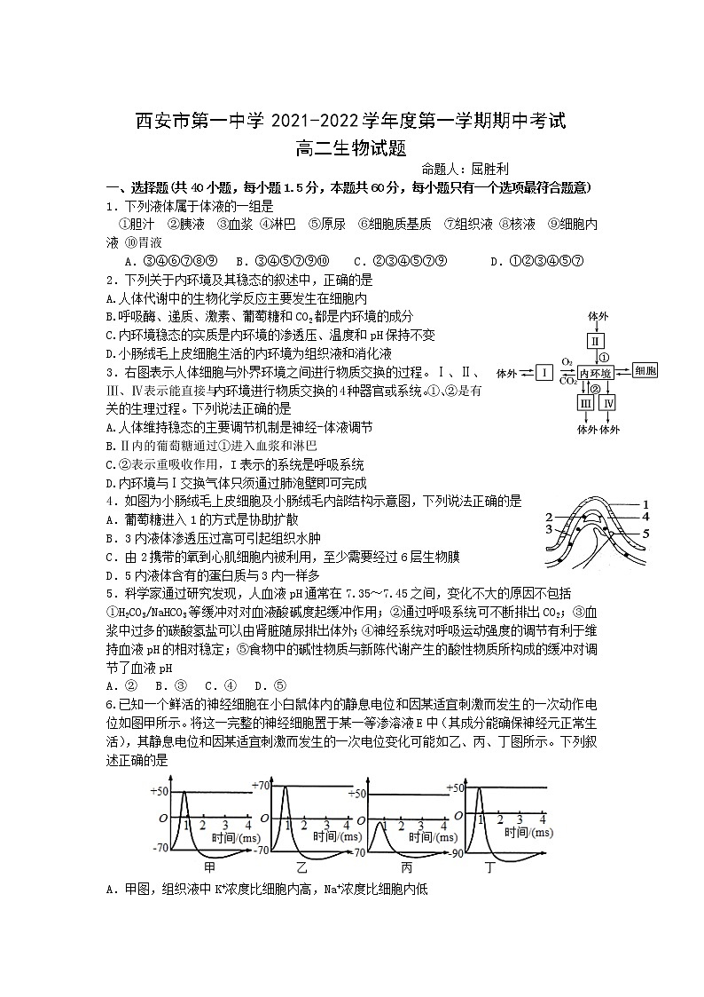 陕西省西安市第一中学2021-2022学年高二上学期期中考试生物试题含答案01