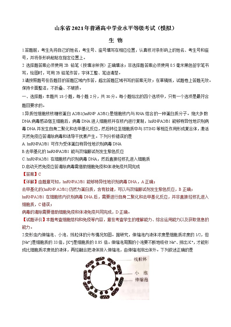2021届山东省临沂市高三一模生物试题 解析版01