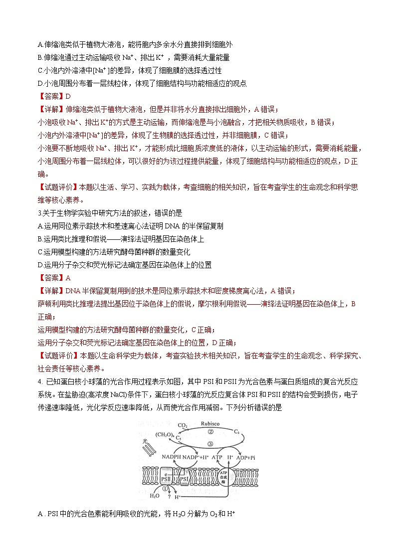 2021届山东省临沂市高三一模生物试题 解析版02